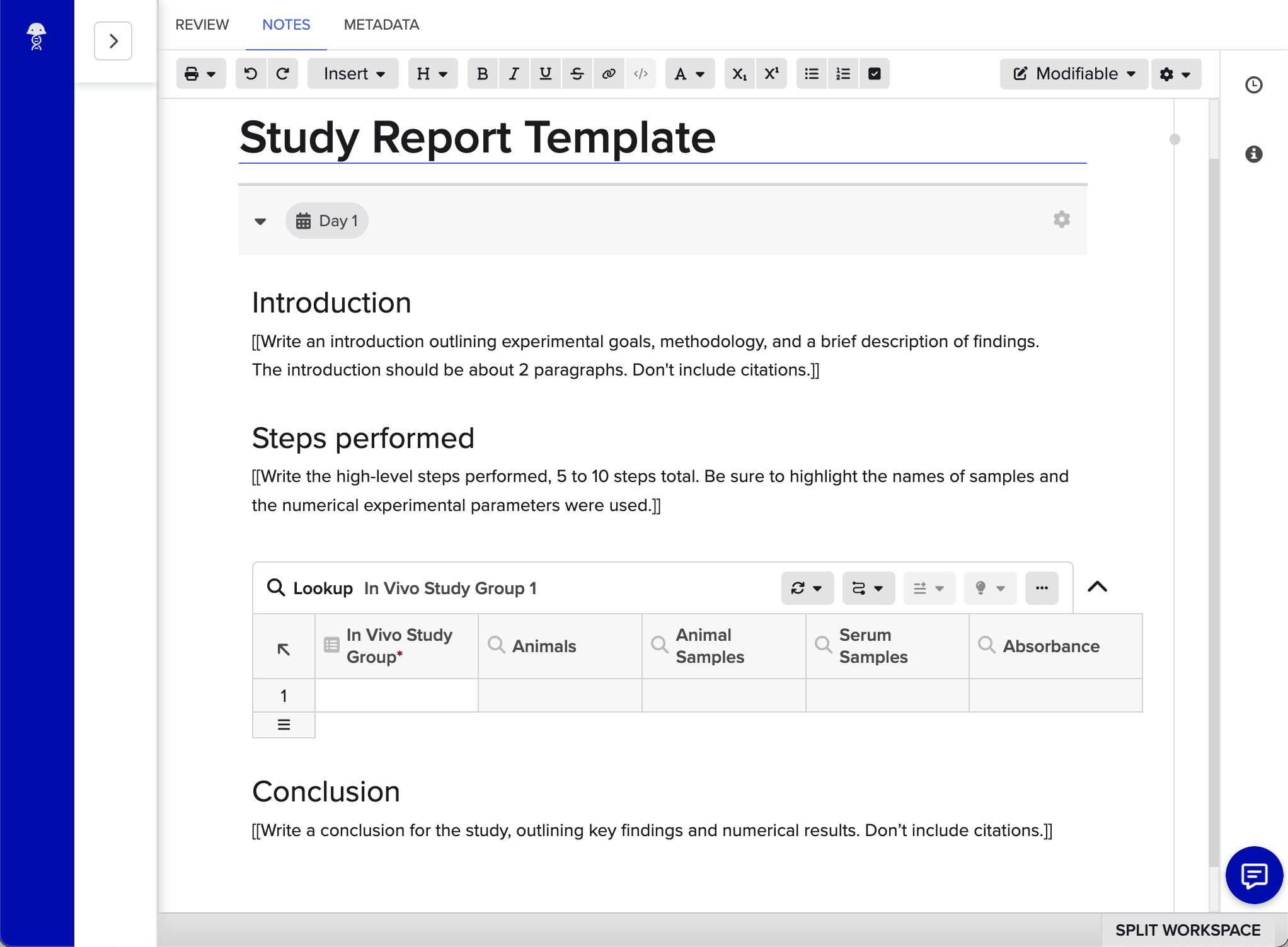 example-report-template.png