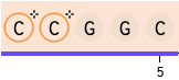 Screenshot 2023-07-31 at 1.47.11 PM.png