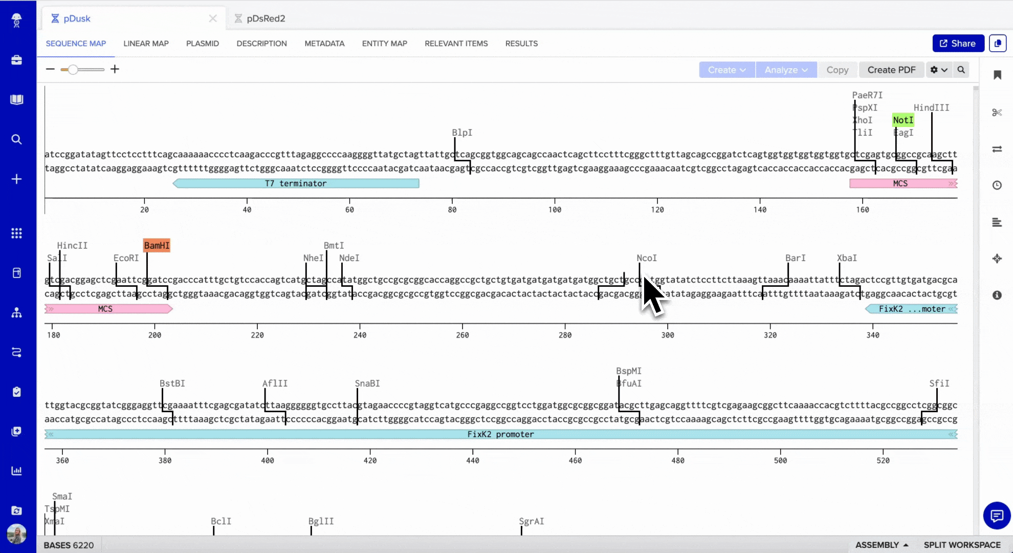 copy and paste assembly 2x.gif