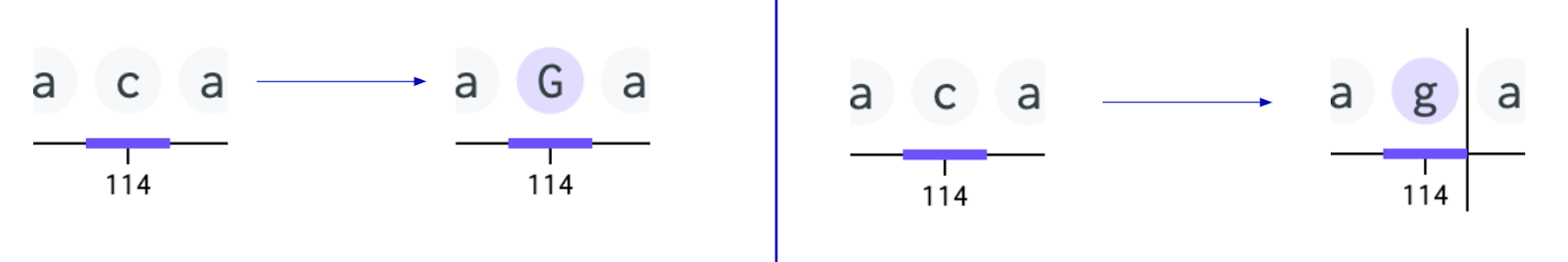 Screen Shot 2022-05-19 at 8.08.13 AM.png