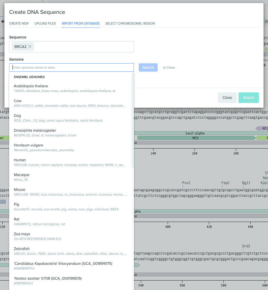 Screen Shot 2022-06-10 at 3.48.45 PM.png