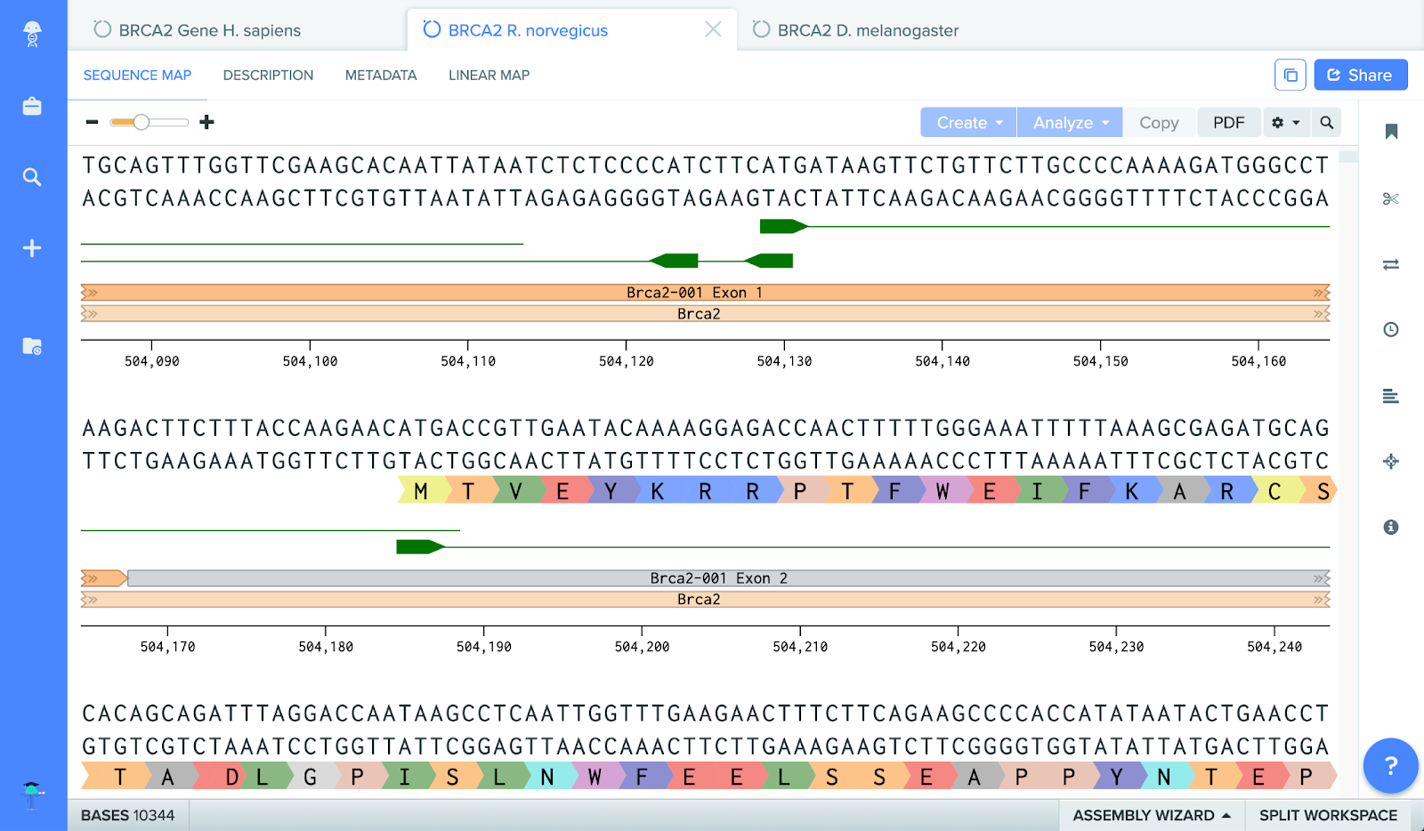 Protein Analysis Benchling