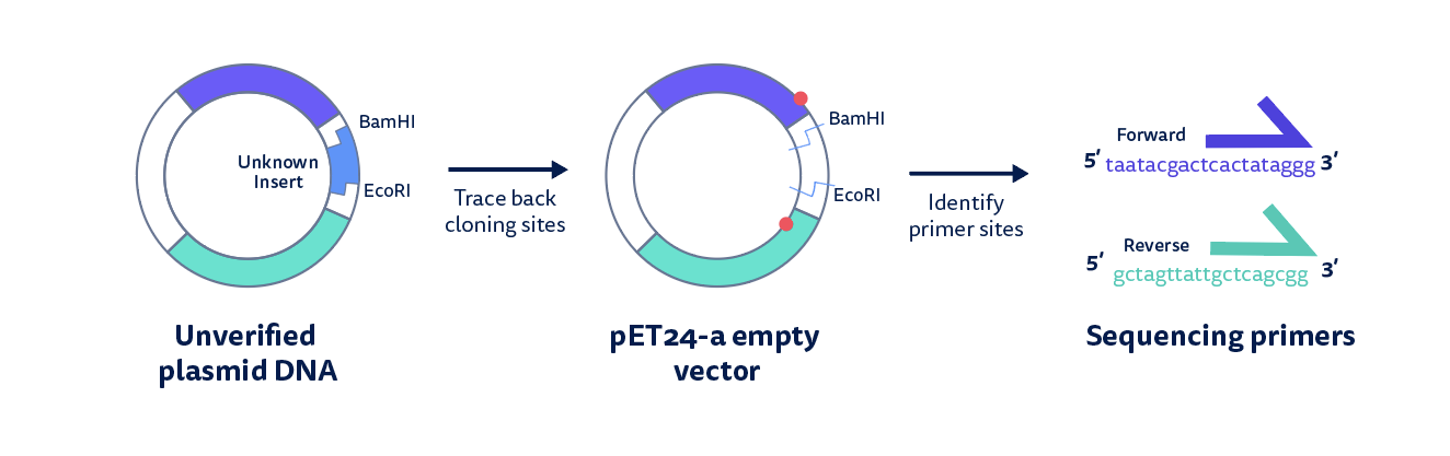 dna-sequencing-benchling